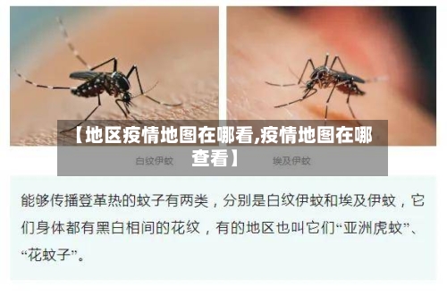 【地区疫情地图在哪看,疫情地图在哪查看】-第1张图片