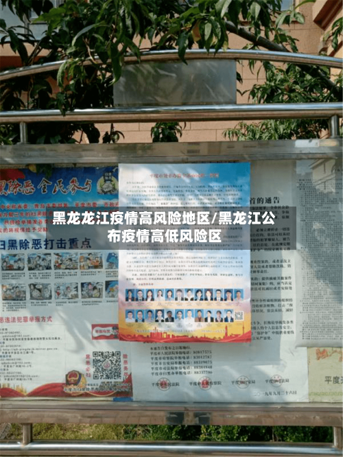 黑龙龙江疫情高风险地区/黑龙江公布疫情高低风险区-第1张图片