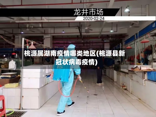 桃源属湖南疫情哪类地区(桃源县新冠状病毒疫情)-第1张图片