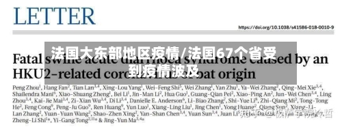 法国大东部地区疫情/法国67个省受到疫情波及-第1张图片