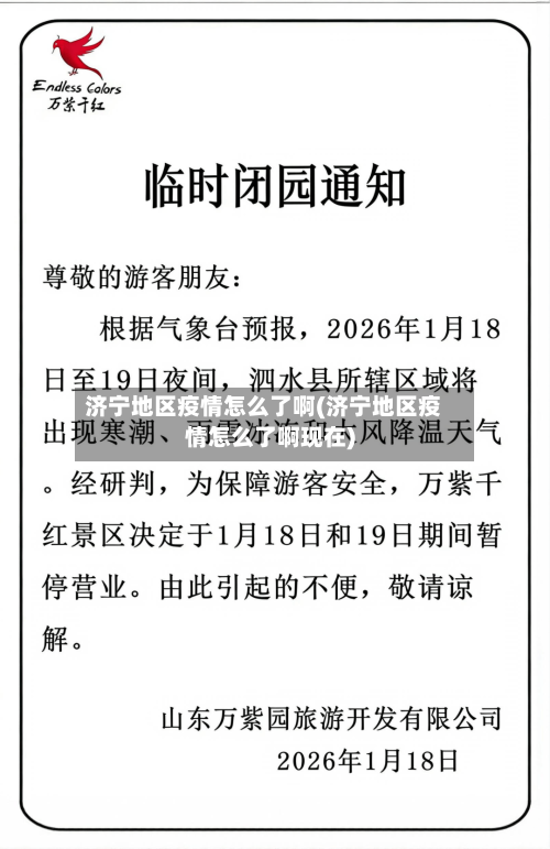 济宁地区疫情怎么了啊(济宁地区疫情怎么了啊现在)-第2张图片
