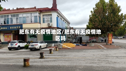 肥东有无疫情地区/肥东有无疫情地区吗-第2张图片