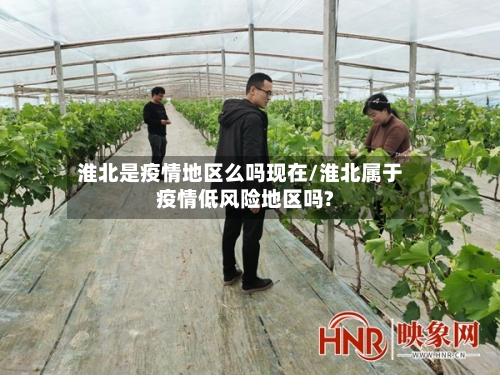 淮北是疫情地区么吗现在/淮北属于疫情低风险地区吗?-第1张图片