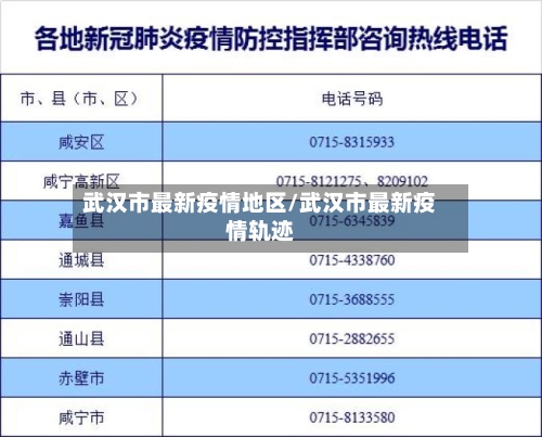 武汉市最新疫情地区/武汉市最新疫情轨迹-第2张图片
