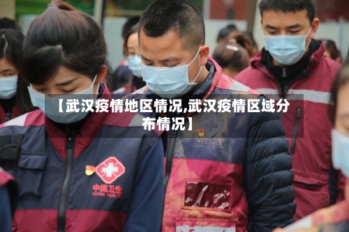 【武汉疫情地区情况,武汉疫情区域分布情况】-第1张图片